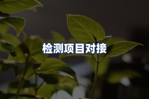 检测项目对接